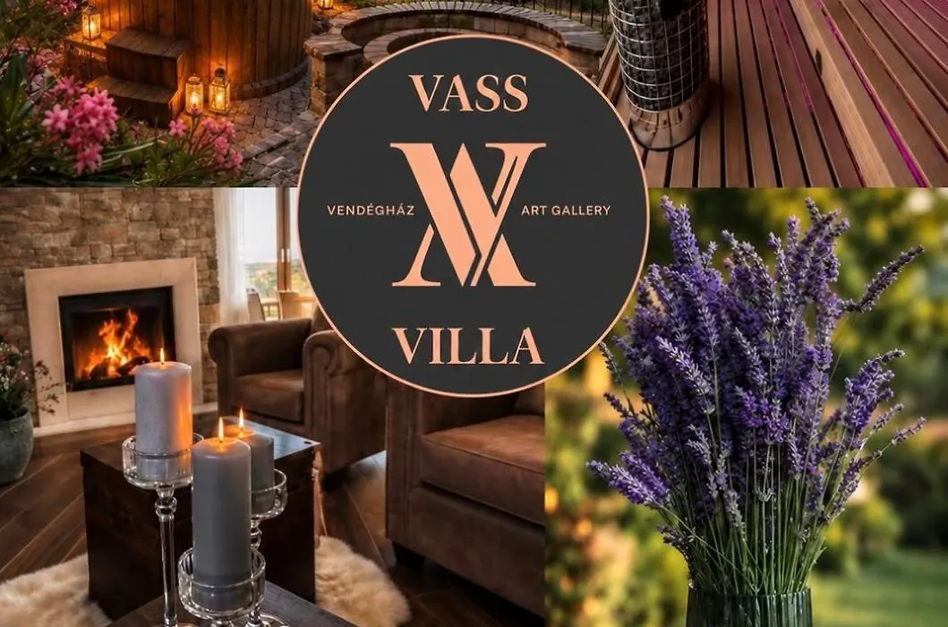 Vass-Villa Vendeghaz-1