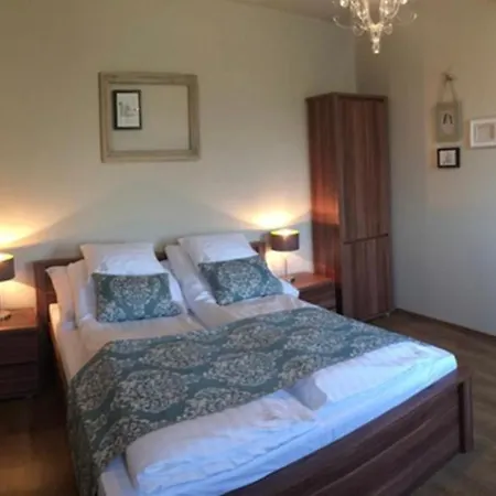 Vass-Villa Vendeghaz-3