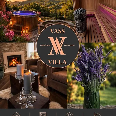 Vass-Villa Vendégház-3